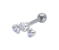 Helix Ear Piercing with Titanium Bar TIP-3048-TI